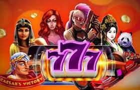 116bet login