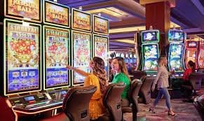 116bet login